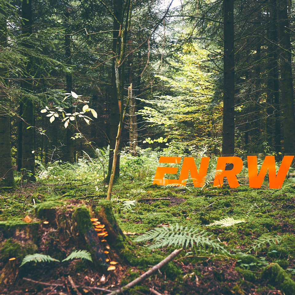 ENRW - Logo steht im Wald