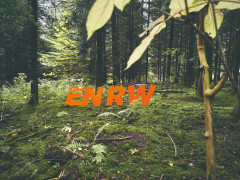 ENRW-Logo mitten im Wald umgeben von Bäumen und Farn                          